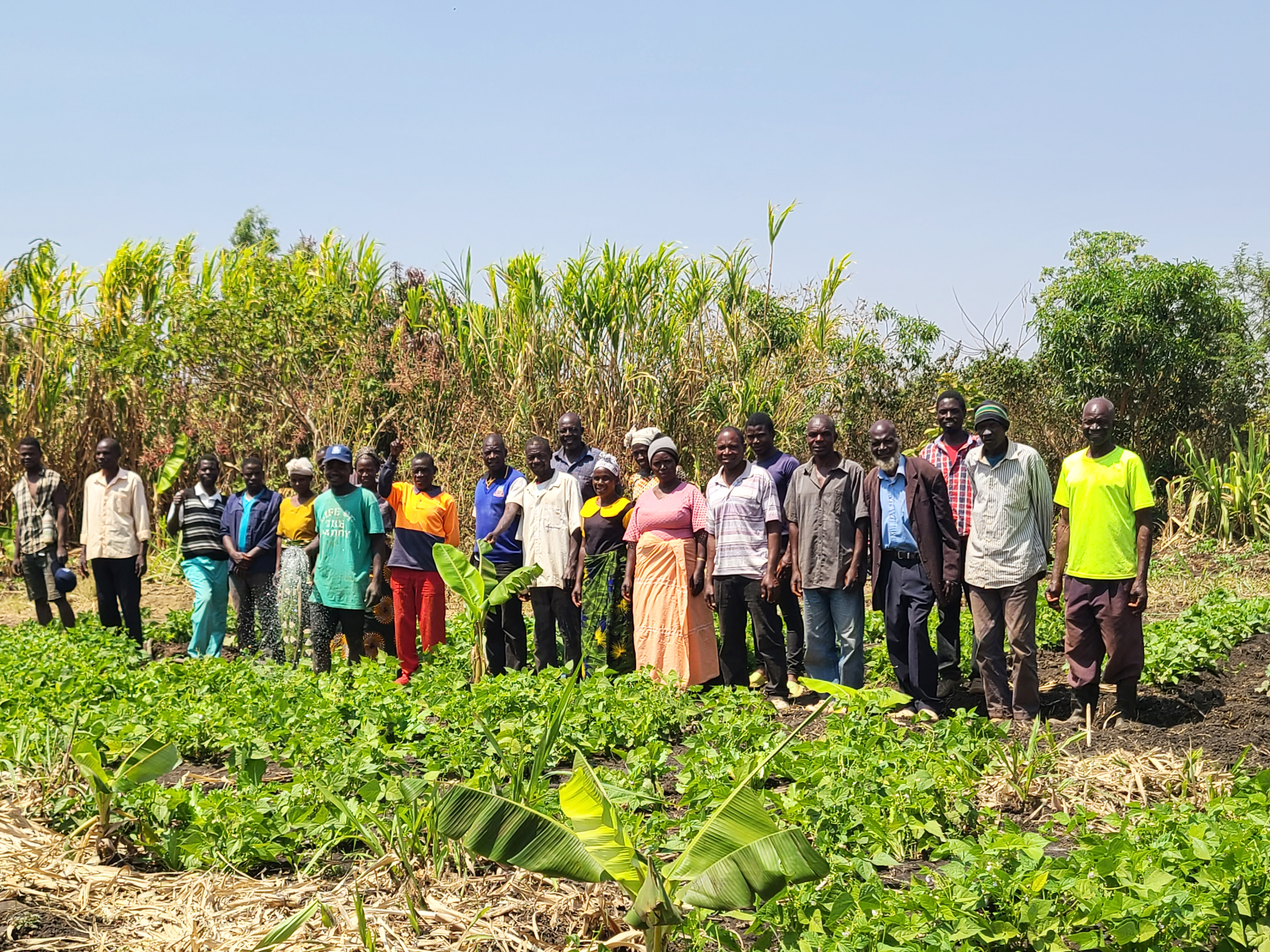 Permaculture and Sustainable Farming