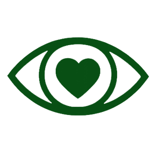 Our Vision icon
